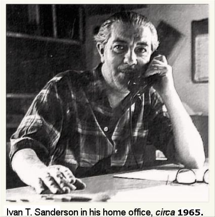 Ivan Sanderson at Desk